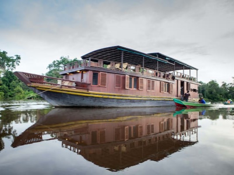 Indonesie reis, Indonesie safari, boot safari, Borneo, Orang Oetan