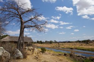 wildlife lodge Tanzania