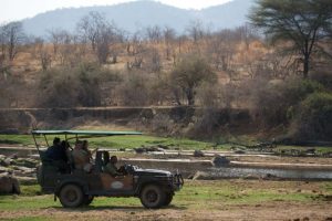 gamedrive Ruaha National Park