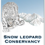 Snow-Leopard-Conservancy