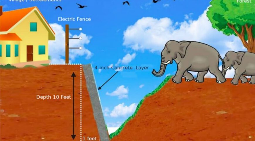 Elephant Fence Human-Elephant conflict Yala NP