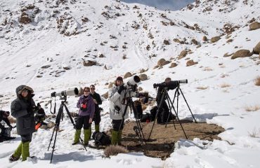 Sneeuwluipaard fotograferen