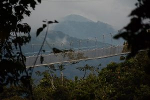 Canopy Walk, Nyungwe Forest