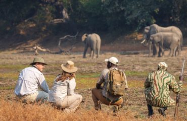 Luangwa Walking Safari