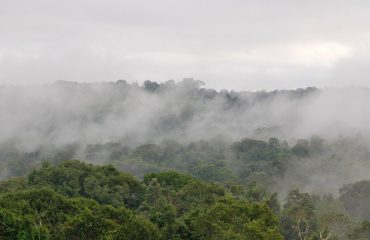 Mist over Amazoneregenwoud © All for Nature Travel