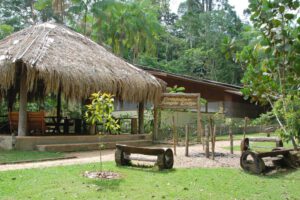 Cristalino lodge, Amazone