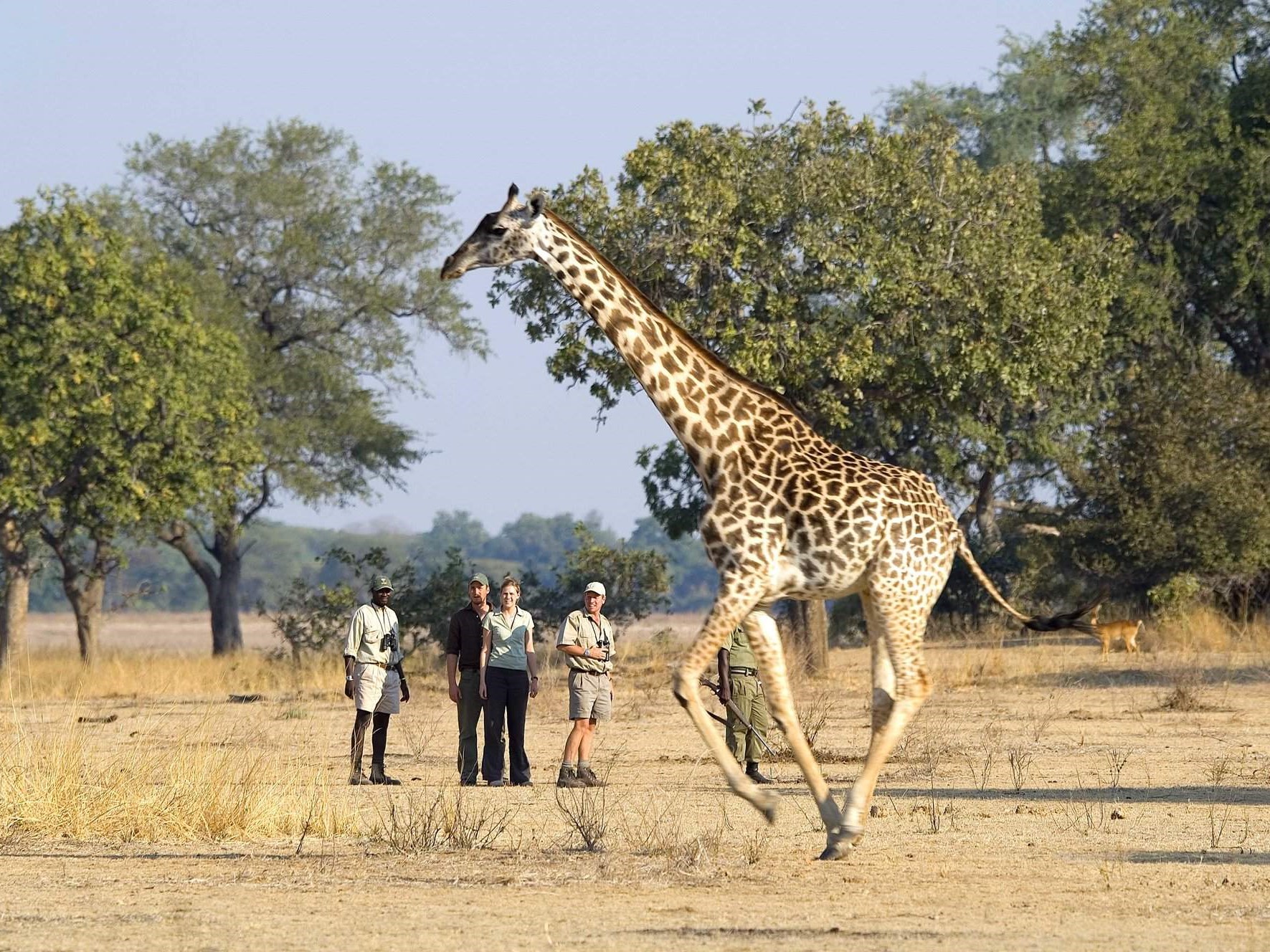 Walking RPS, wandelsafari South Luangwa