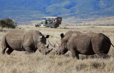 Lewa Wildlife Conservancy