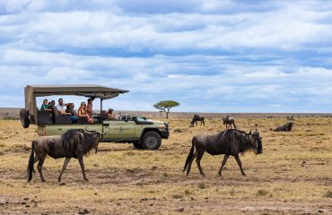 Family Safari ©Saruni web