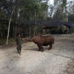 Sumatran Rhino Sanctuary harapan