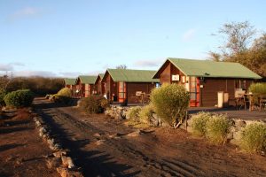 floreana, glaapagos, lava lodge