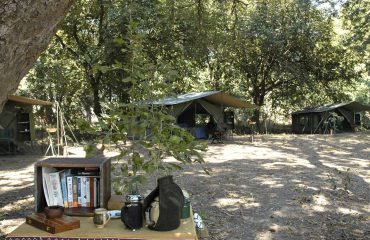 Mobile Tented Camp South Luangwa