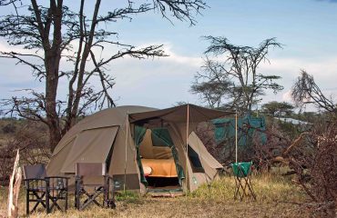Dorobo Bush Camp Kenia