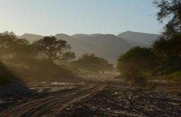 morning game drive hoanib valley ©All for Nature Travel