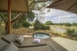 safari met plunge pool