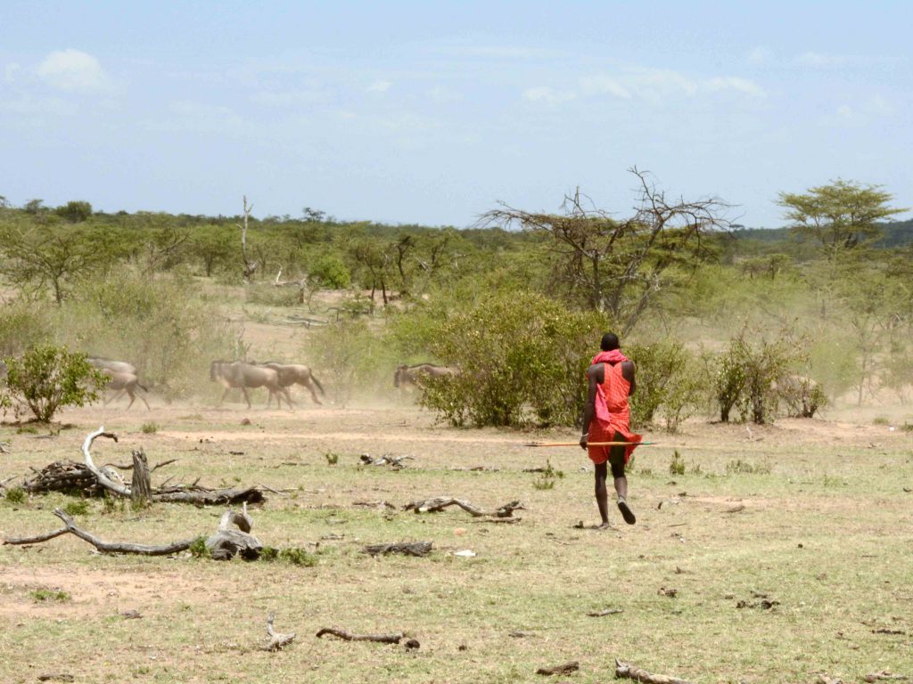 safari masai mara, reis basecamp, wildlife masai mara, walking