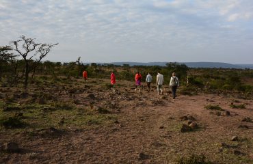 Walking with the Maasai
