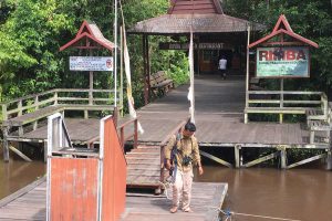 Rimba, Ecolodge Rimba, Tanjung Puting, Borneo