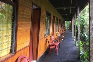 Rimba, Ecolodge Rimba, Tanjung Puting, Borneo