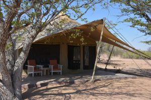 safari woestijnloifanten, SRT, Malansrus, damaraland reis, reis Namibie, twijfelfontein