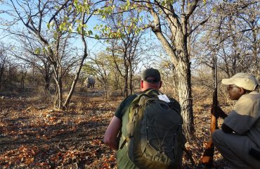 Rhino Tracking Ongava