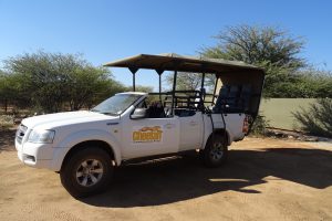 Cheetah View Lodge, CCF