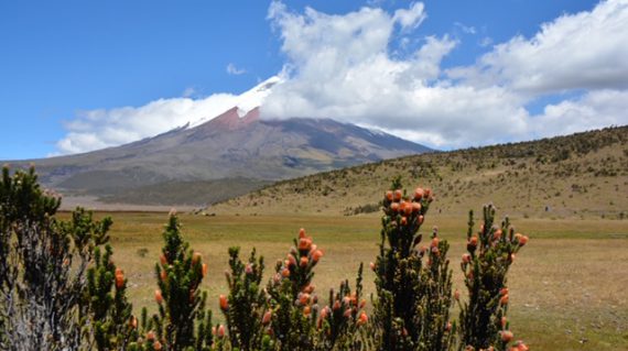 Cotopaxi © All for Nature Travel