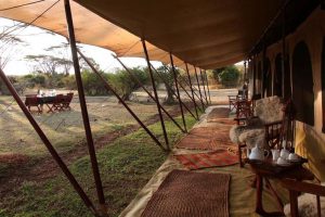 Saruni Wild Masai Mara, safari masai mara , safari migration