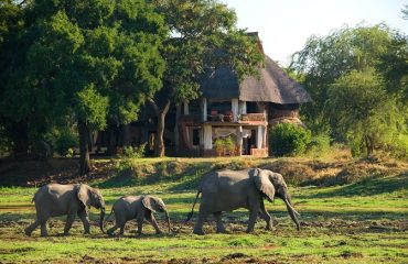 Luangwa House Zambia