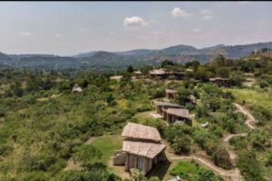 Kyambura Gorge Lodge, lodge Uganda, hotel Oeganda, Volcanoes