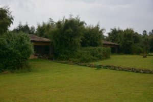 Mountain Gorilla View Lodge, lodge Rwanda