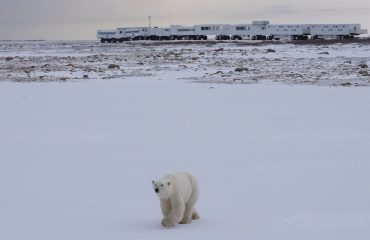 Tundra Buggy lodge ©NeilMumby