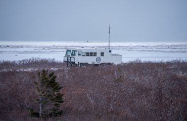 Tundra Buggy 1 ©AbbyMatheson