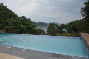 reis Rwanda, chimpanseetrekking Rwanda, Nyungwe House, Nyungwe NP