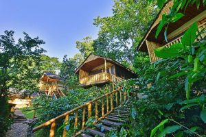 kleinschalige lodge Uganda