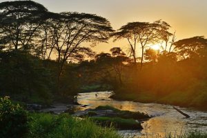 Queen Elizabeth National Park natuur