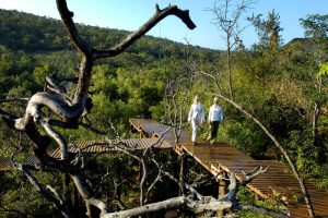 Sediba Rock Lodge Walkways