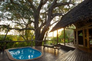 safarilodge met plunge pool