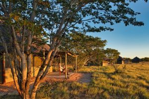 Camp Hwange, Hwange NP, safari Zimbabwe