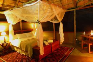 Camp Hwange, Hwange NP, safari Zimbabwe