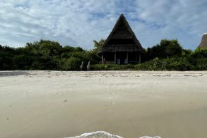 lodge mangrove eiland Tanzania