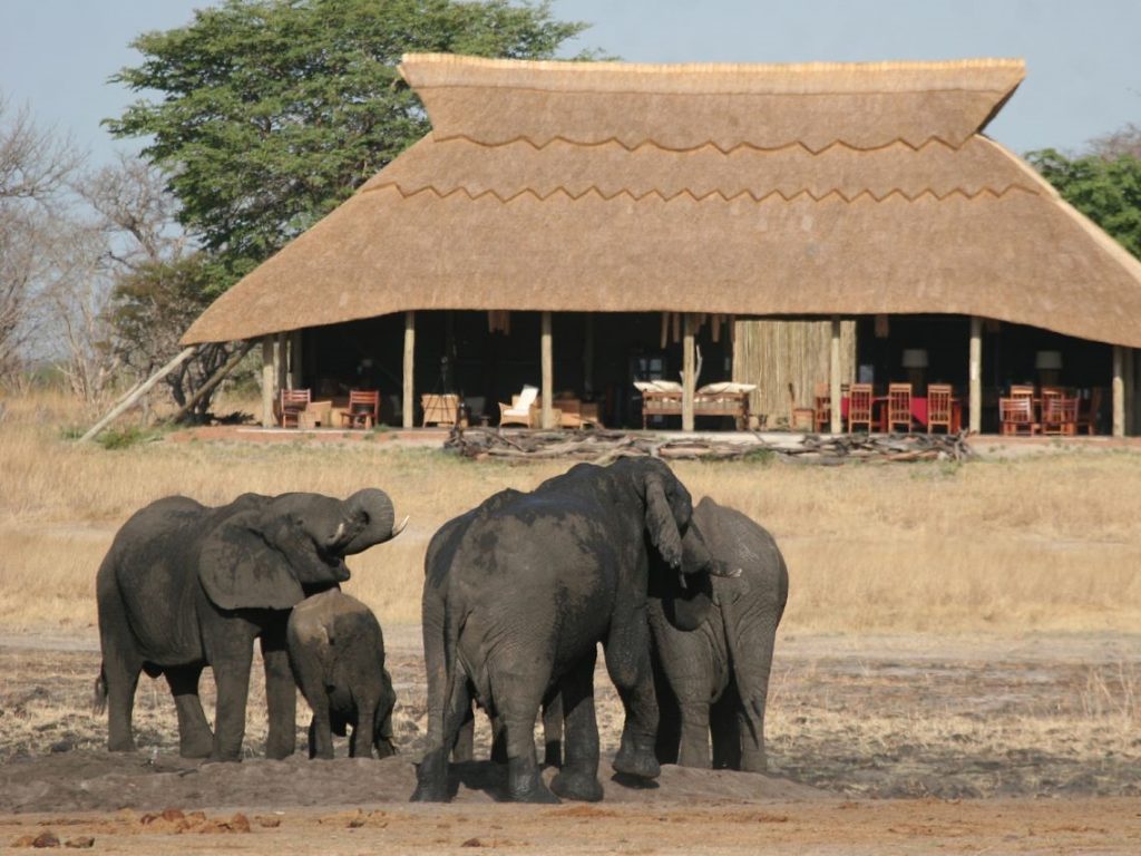 Camp Hwange, Hwange NP, safari Zimbabwe