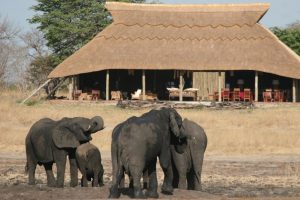 Camp Hwange, Hwange NP, safari Zimbabwe