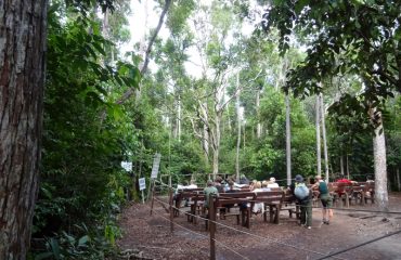 Bij feeding platform Camp Leakey ©All for Nature Travel