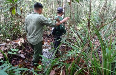 te voet door Sebangau NP ©All for Nature Travel