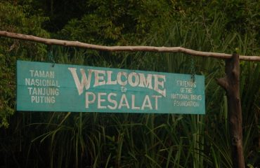 Pesalat ©All for Nature Travel