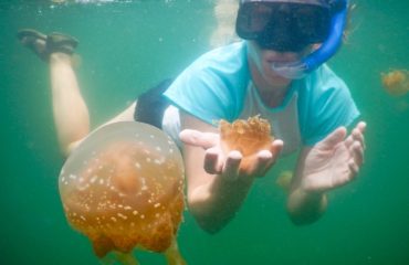 Swimming with stingless jellyfish