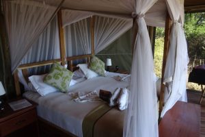 zambia, zambia safari, kafue, afrika, safari, lodge, camp