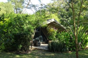 Waterberry, Victoria Falls, Livingstone, Zambia, duurzame lodge