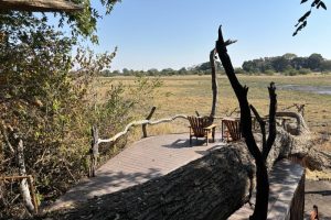 zambia, zambia safari, kafue, afrika, safari, lodge, camp